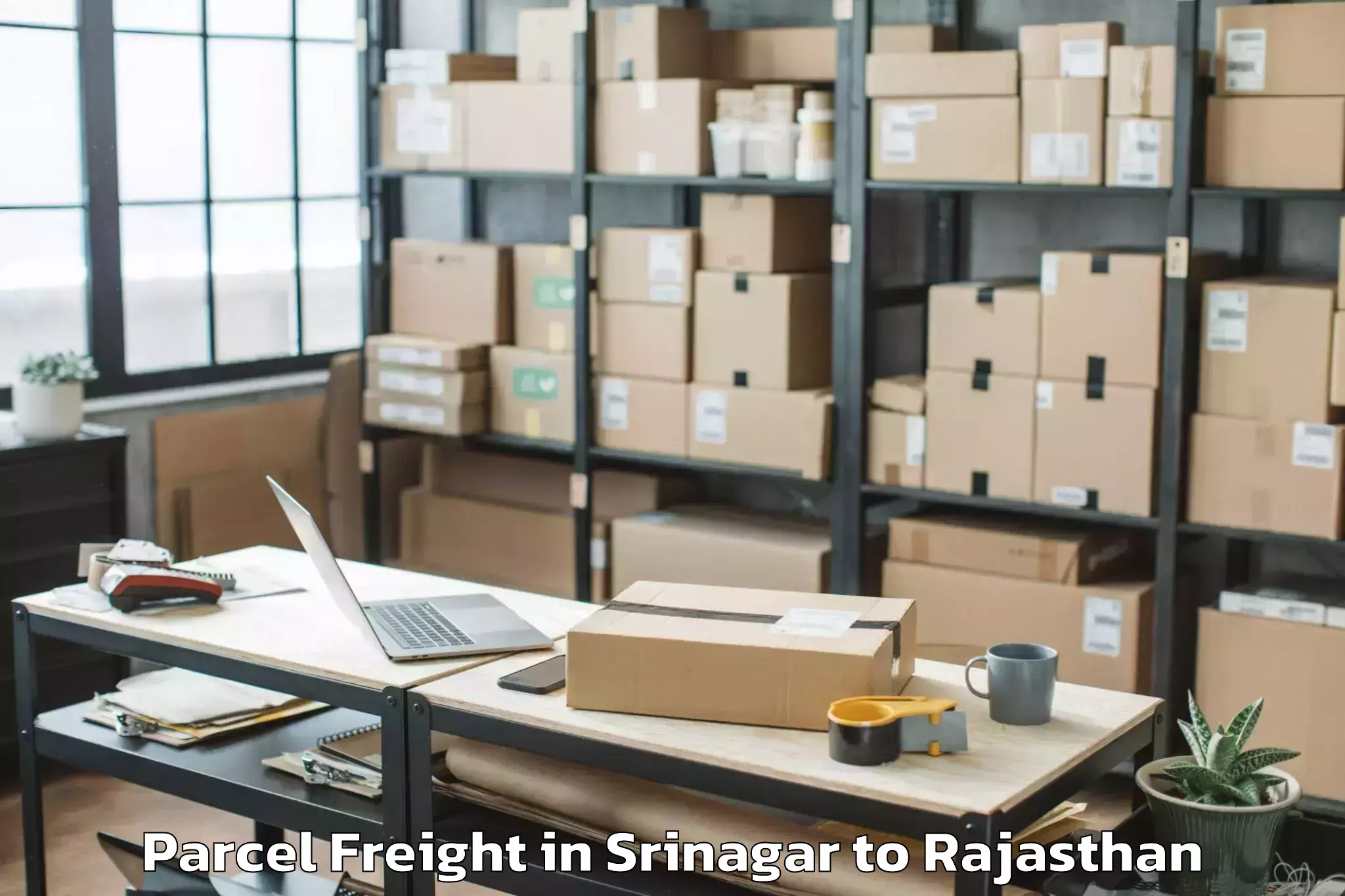 Comprehensive Srinagar to Sunrise University Alwar Parcel Freight